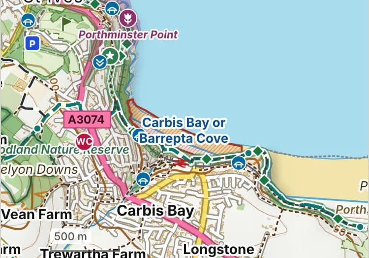 Map of Carbis Bay Beach: the stretch where dogs are banned 15 May to 30 September is hatched in brick. Beaches we have not placed an order on are outlined in grey dots, and say nothing about dogs.