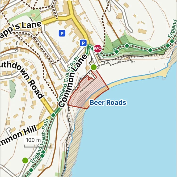 Map of Beer beach: the stretch where dogs are banned 1 May to 30 September is hatched in brick.