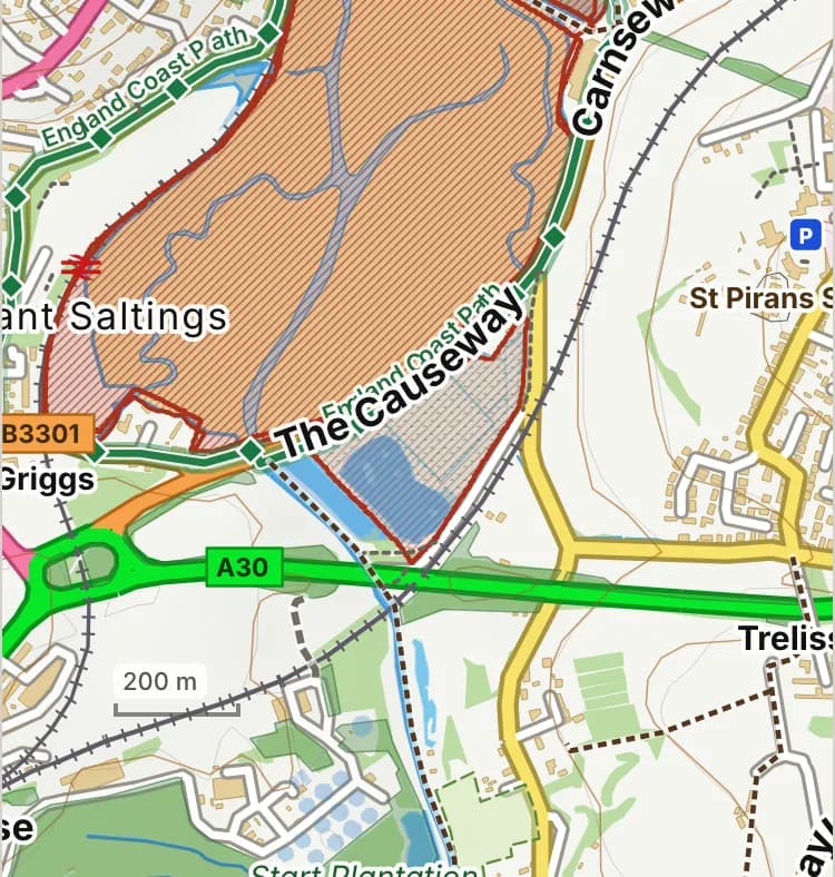 Map of Ryan’s Field: the stretch where dogs are banned all year is hatched in brick.